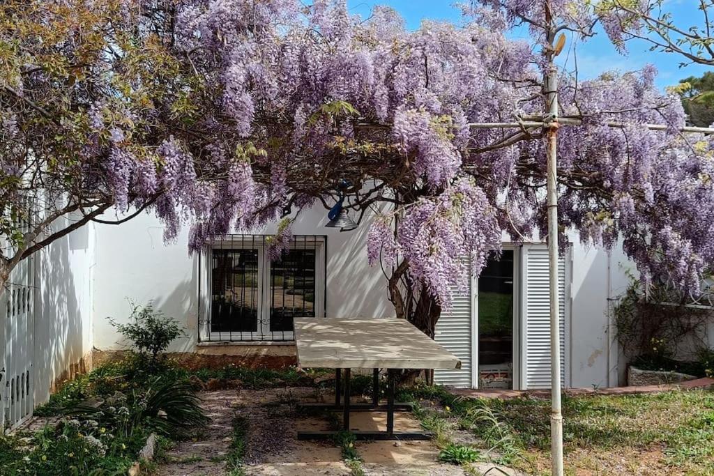 Summer Villa In Πόρτο Ράφτη Εξωτερικό φωτογραφία