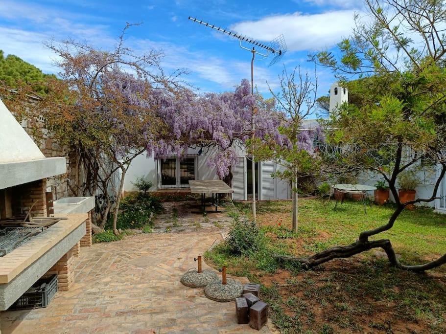 Summer Villa In Πόρτο Ράφτη Εξωτερικό φωτογραφία