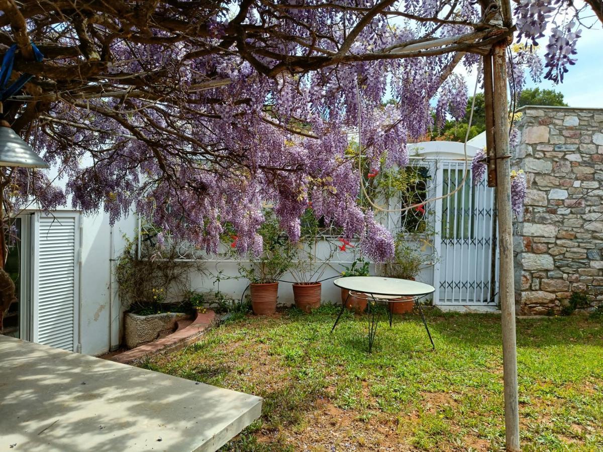 Summer Villa In Πόρτο Ράφτη Εξωτερικό φωτογραφία